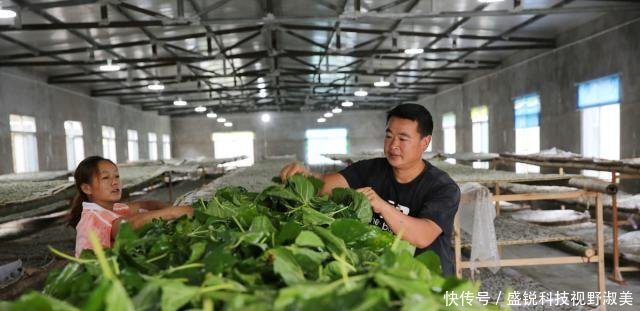  新房：40岁夫妻靠养蚕发家，花100万建养猪场，自己却舍不得盖新