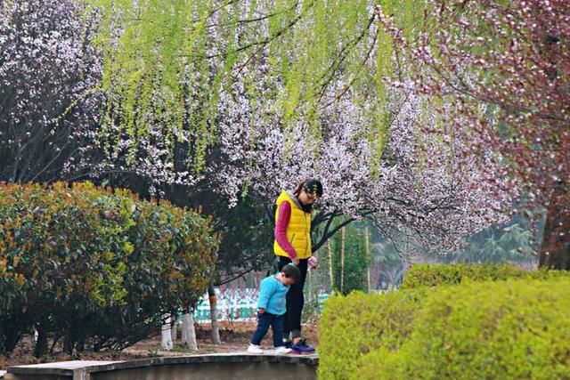 三月春暖花开,又到了寻花问柳的季节!