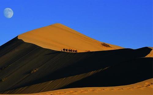 5A级景区白沙湖要免门票咯！快看过来！