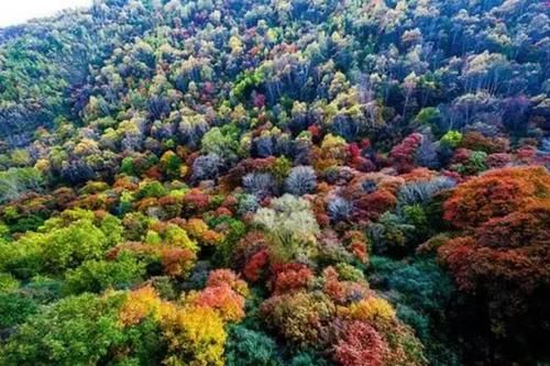 山西适合赏秋的旅行地，浓浓秋意，犹如一幅幅巨大的油画