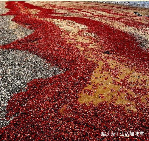 14张不可思议的照片,证明大自然比想象中更独特