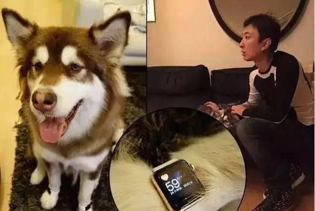  宠物■老佛爷过世一年后，那只承继了21亿财产的猫如何了？人比不上猫...