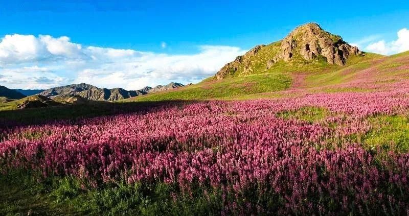 青海又一小众旅行地被发现，距茶卡盐湖仅1小时，低调得让人心疼