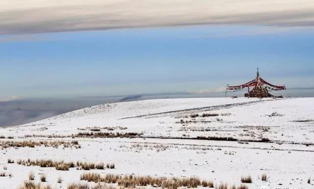 大美新疆，上眼胡杨