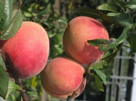 刚刚公布!云南这4个地方被国家看上，成为康养城市!有你在的地方