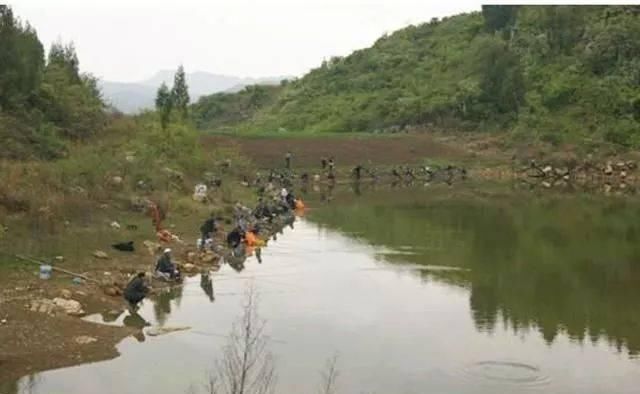  『新人』春季钓鱼技巧大全，新人钓友拿去不用谢！
