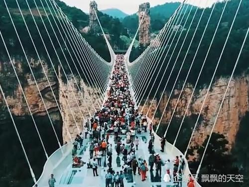  【黑人】日本是个发达国家，为什么黑人不愿意去，却偏偏喜欢来