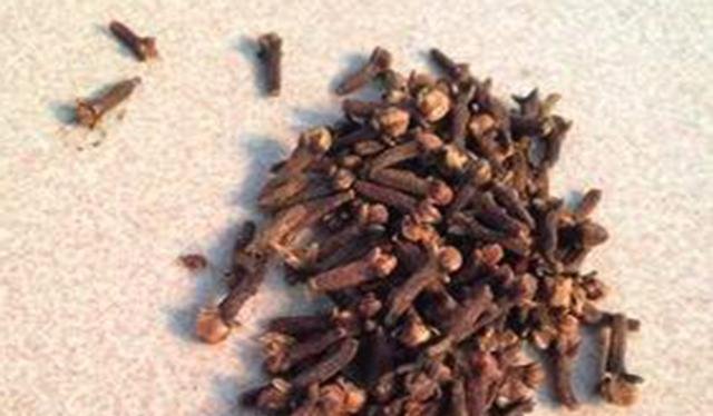 『麦粒』不起眼的麦粒,这样加工一下,不仅能钓鲫鱼,鲤鱼草鱼也能钓