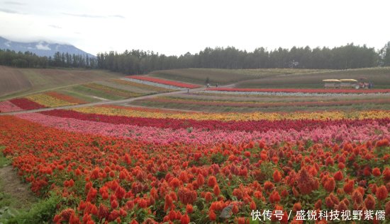 万里西游川甘青新第9天独库公路在巴音布鲁克感谢新疆交警人性执