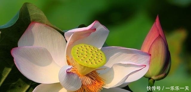  孩子|这，就是人生最大的福气！