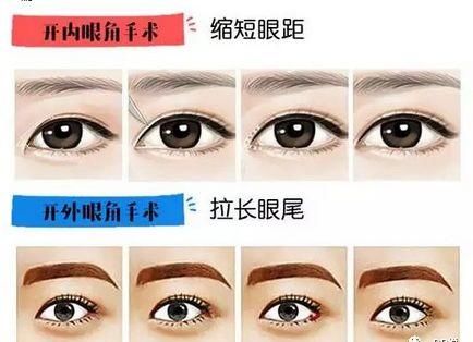  『眼睛』什么样的眼，能成就一张高级脸？|案例