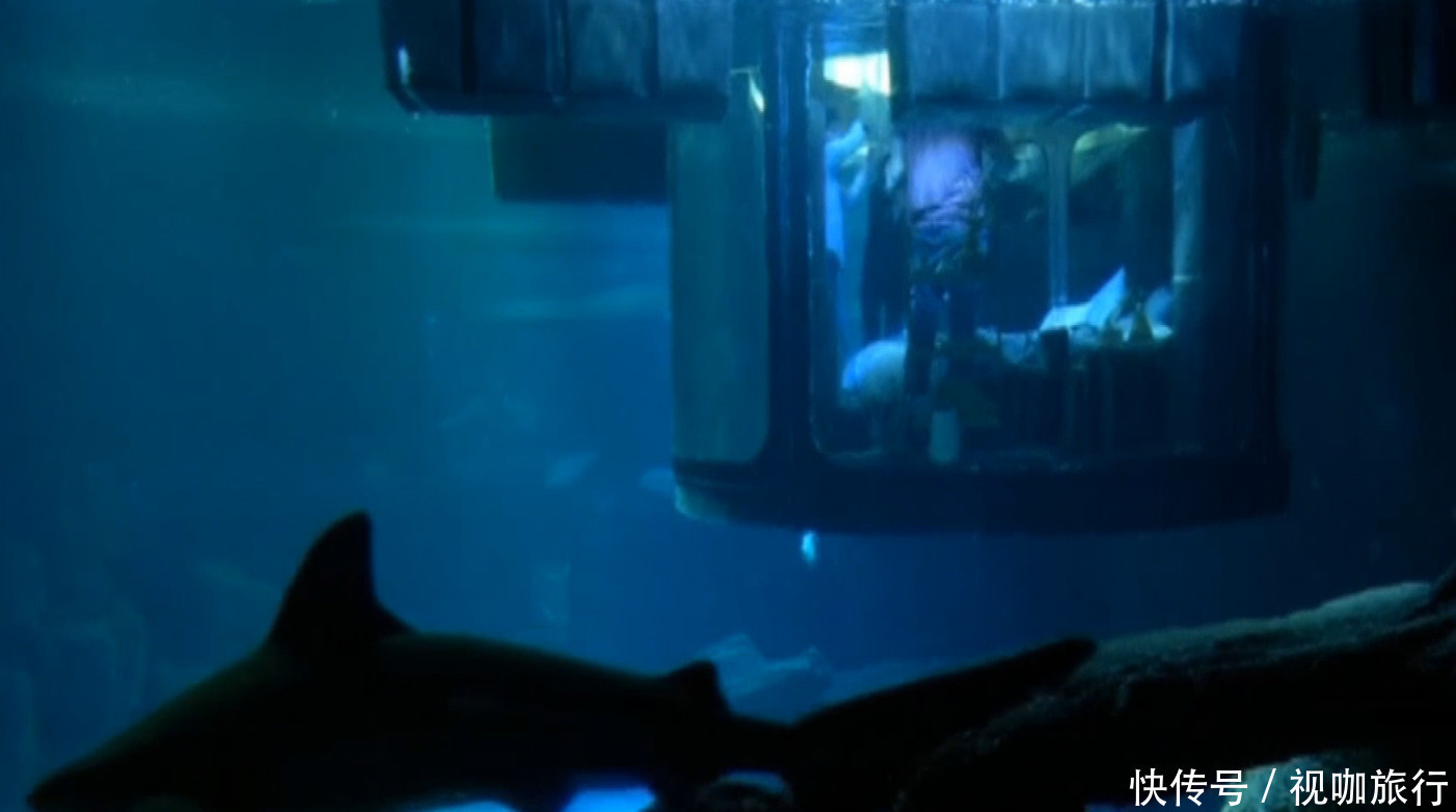 不一样的水下卧室，一个外面有35条鲨鱼，一个非常美丽