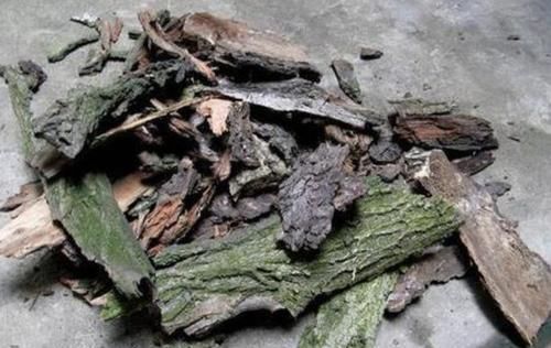 盆爆盆@“3种料”养花,花卉根系壮、叶片绿,养10盆爆盆“10盆”,值