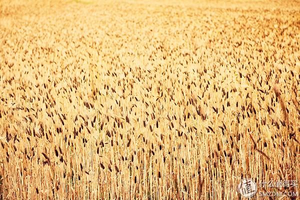 高逼格旅行美照怎么拍?秘笈在此,手慢无!