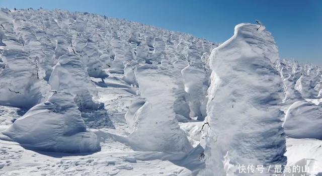 荷兰@极度独特的五个地球景观!荷兰的“湖上岛屿”,一座岛就是一个家