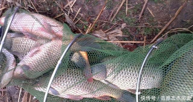  [小药]用什么小药！春钓鲤鱼就加它，成本忽略不计，抛竿个把小时准有效