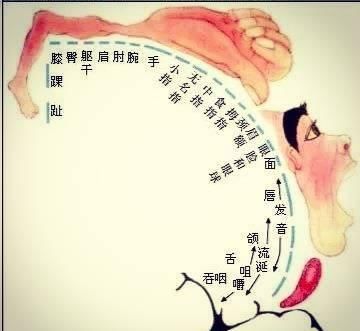  [类游戏适合]人的智慧在手中，精细动作对孩子大脑发育很重要，6个游戏练起来