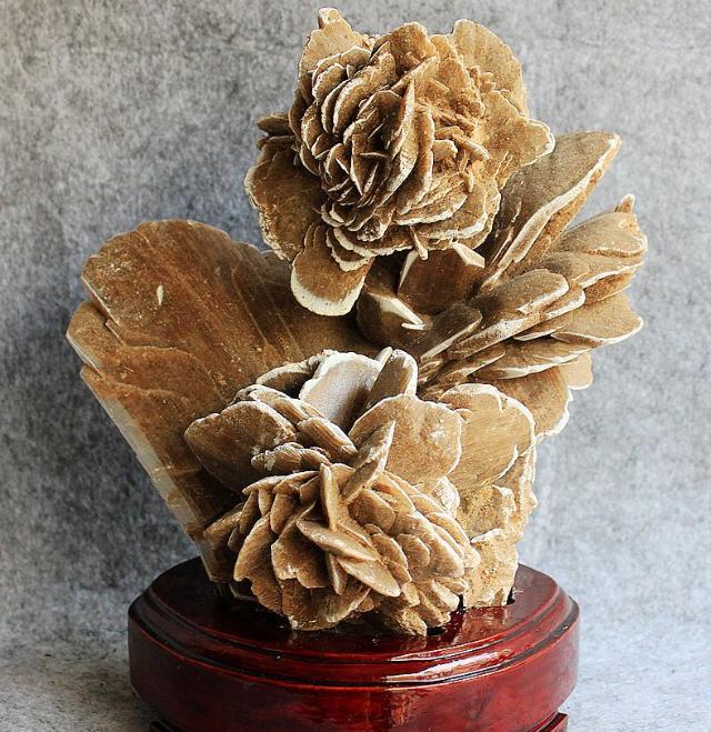 国内沙漠上竟出现了“玫瑰”向导:最好捡回去收藏!