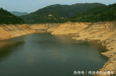 农村里种上这种树, 不少农民都后悔了, 农村孩子都要知道危害