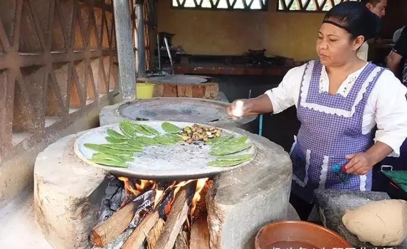  【国家】仙人掌当“零食”，签子窜起来烧烤，也不怕刺扎嘴，你吃过吗