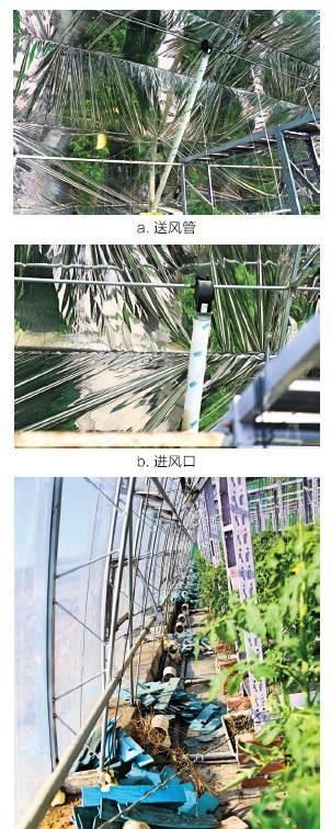  滑盖■知道滑盖手机，那你听说过滑盖日光温室么？