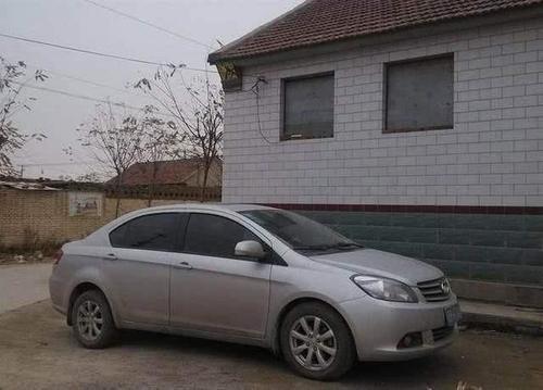  农村■农村新“怪象”：地里全种树，房子空气住，汽车全是土，