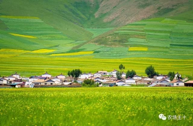 2019-2022年农村统一建房政策！每亩补贴150元！每户补贴3000元！