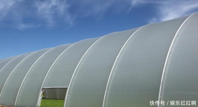 现在农村种地大户，到底挣不挣钱，农村小伙精心分析，结果很意外