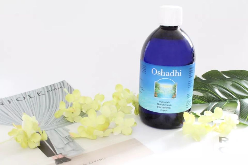 秦岚15年前被喷绿茶婊，如今“白月光”霸气回应整容谣言再度翻红