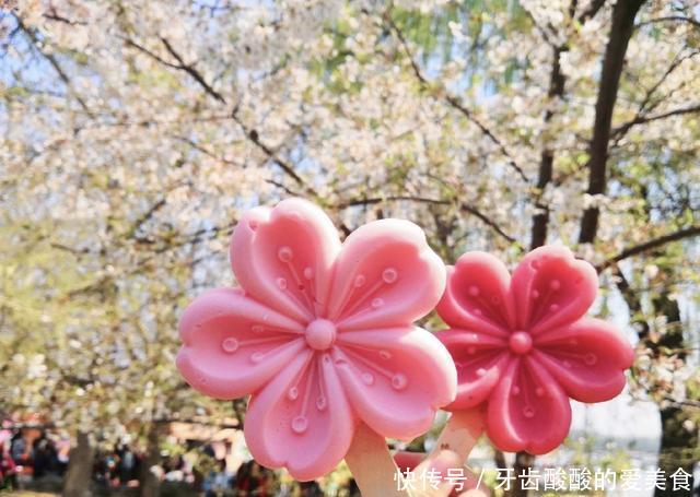 国内景区小零食分分钟上热搜,感觉萌萌哒,让人不忍心下口!