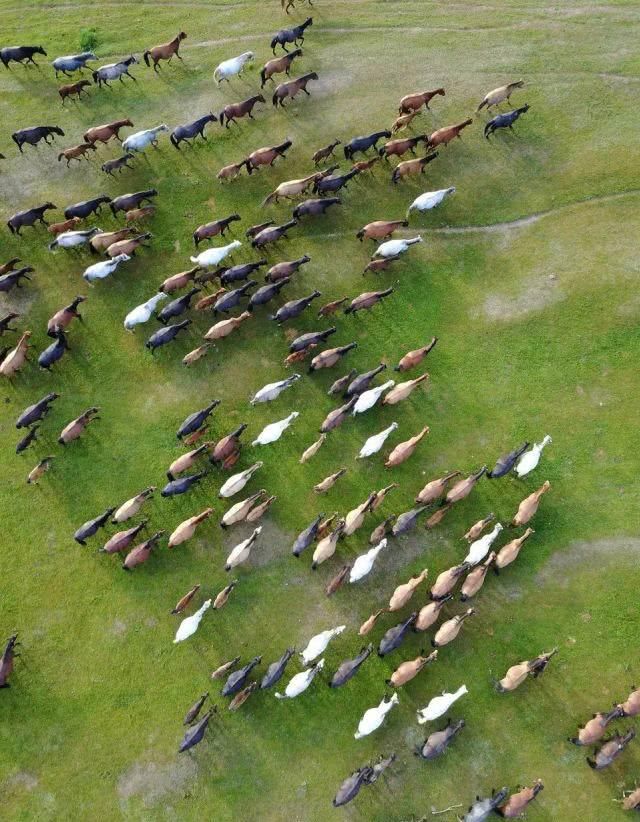 美了千年的甘肃，比新疆刺激，比西藏神圣！