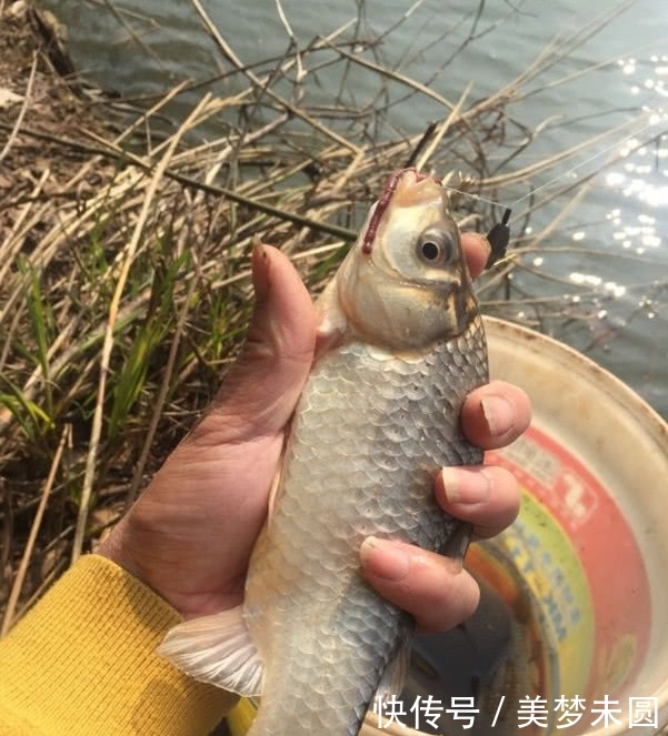  『钓友』钓鱼真的能穷三代？心态摆正，钓鱼真的是个低消费活动