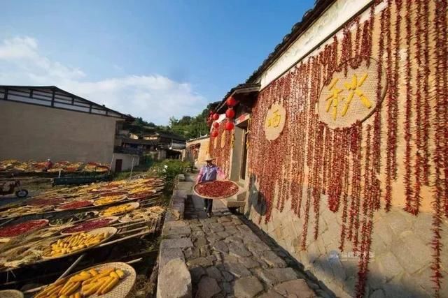 不用去婺源，就在福建也能欣赏晒秋美景，今年秋天别错过这里!