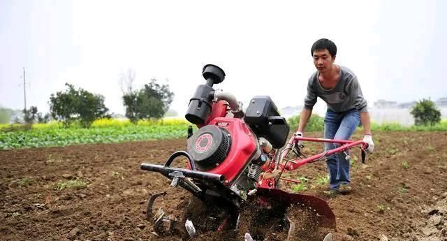  调整■2020年农业补贴将重新调整，这些农民能看看你有没有？