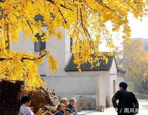  #攻略#中国内湖第一岛苏州洞庭西山岛旅行攻略
