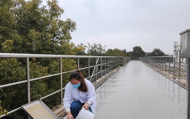 嘉兴■嘉兴的水质有保障，市民可放心饮用，「记者直击91」莫信谣言