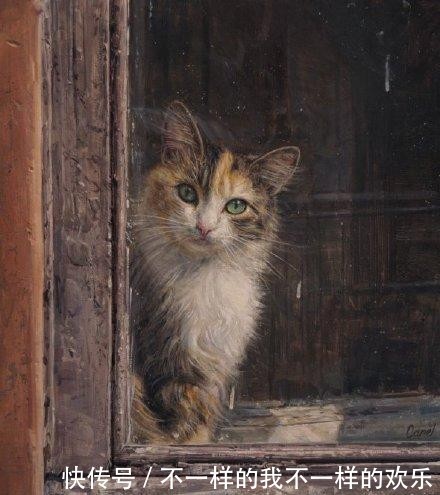 你站在窗外看风景,看风景的猫在窗外看你