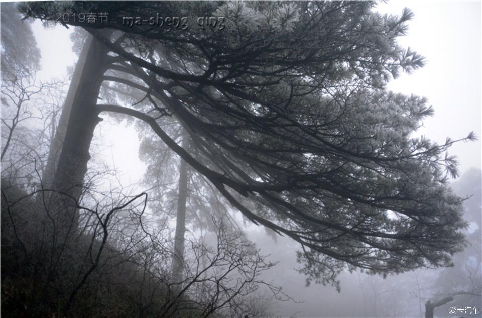 2019春节自驾 游黄山