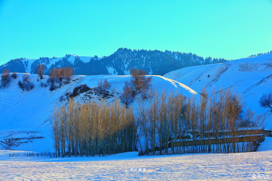 冬季新疆那拉提玩雪全攻略，水墨雪域画中游