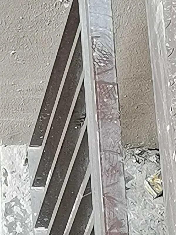  住户|从45楼往下爬，入室盗窃20余起！贵阳“飞天贼”专盯这类住户…