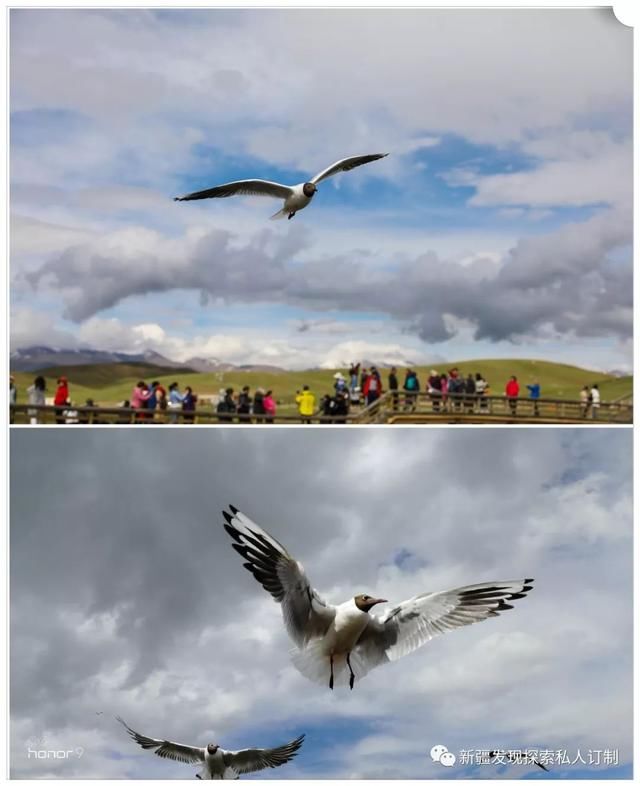 去了北疆才知道,中国有多大;去了南疆才知道,中国有多美