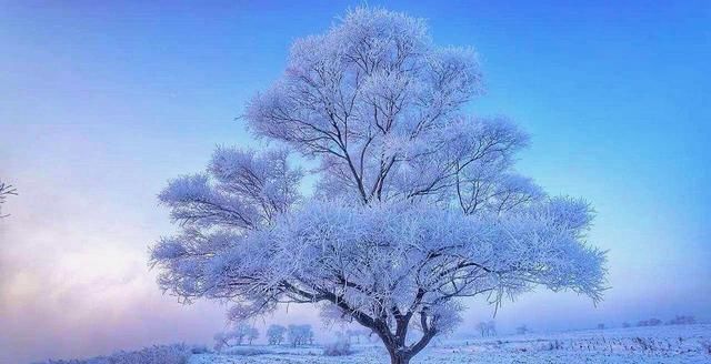 冬天正确打开方式：中国四大自然奇观之一，雾凇岛并不是“照骗”