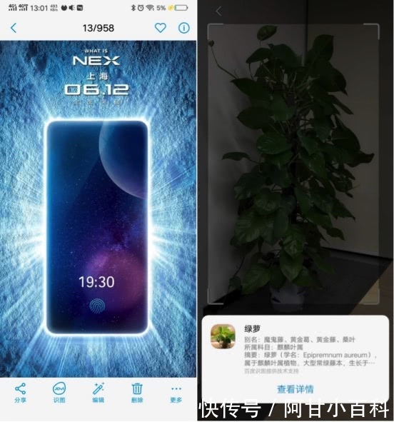 vivo NEX内置AI图像识别能力 百度联盟与手机