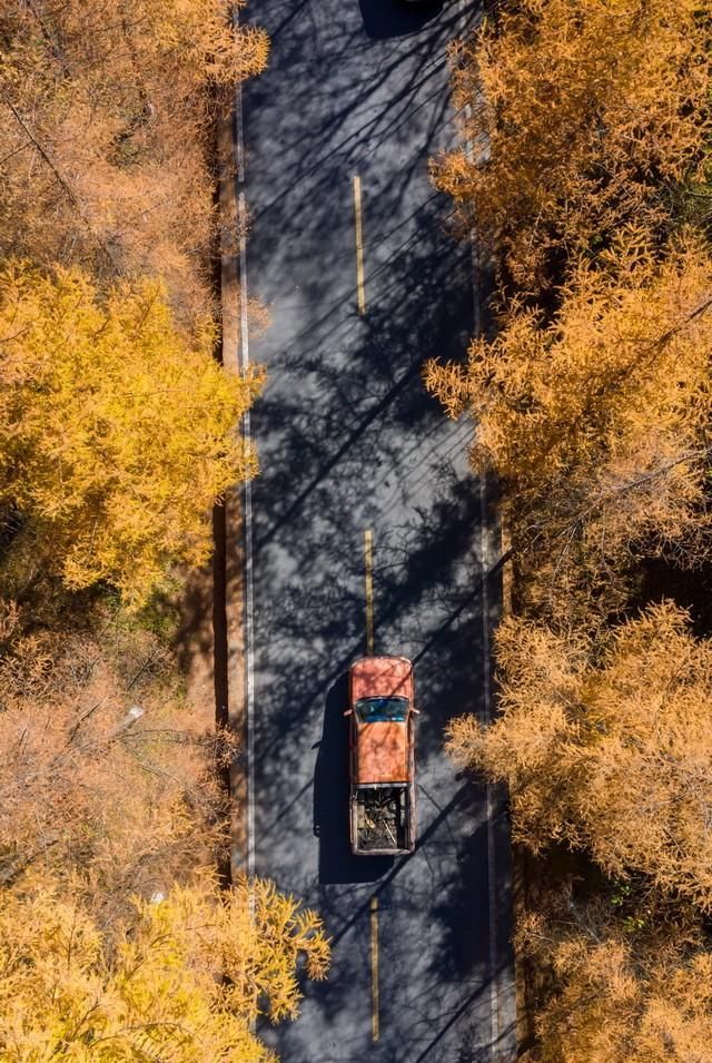 中国摄影网签约摄影师陆文龙作品赏析——《那山那水那些人》
