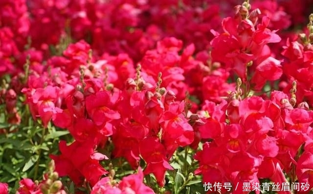  『性格』这四大星座女生不喜欢浓妆艳抹