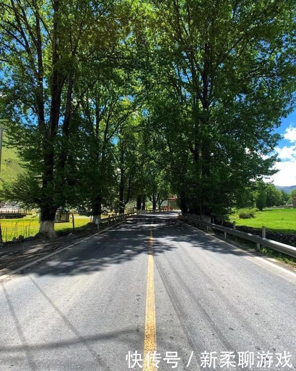 你的宝马标志是不是贴上去的?