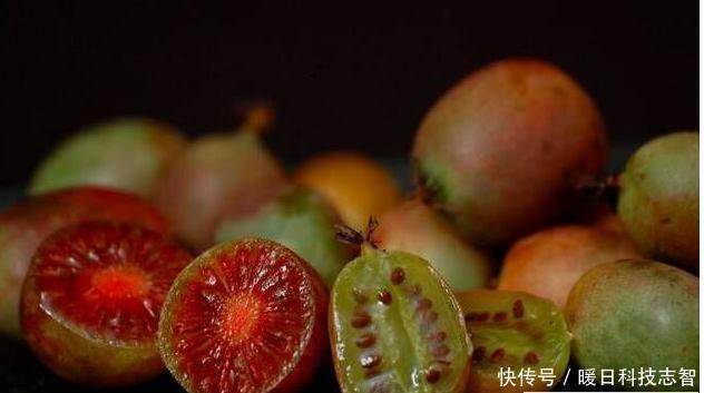  『种植』我国最新兴的果树，比蜂 蜜甜25倍，插土里就活，来年扁担装不完