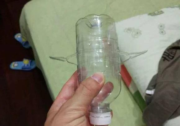  下次@不起眼的塑料瓶，养花的神器，什么都能干，下次可不要丢了