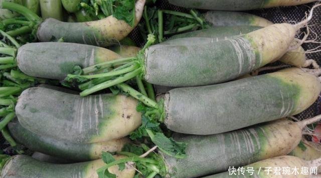 年年种年年滞销，今年河南6万吨无人要，农民苦不堪言