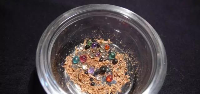  「释迦牟尼」释迦牟尼佛，真身舍利！瞻礼者，获福无量